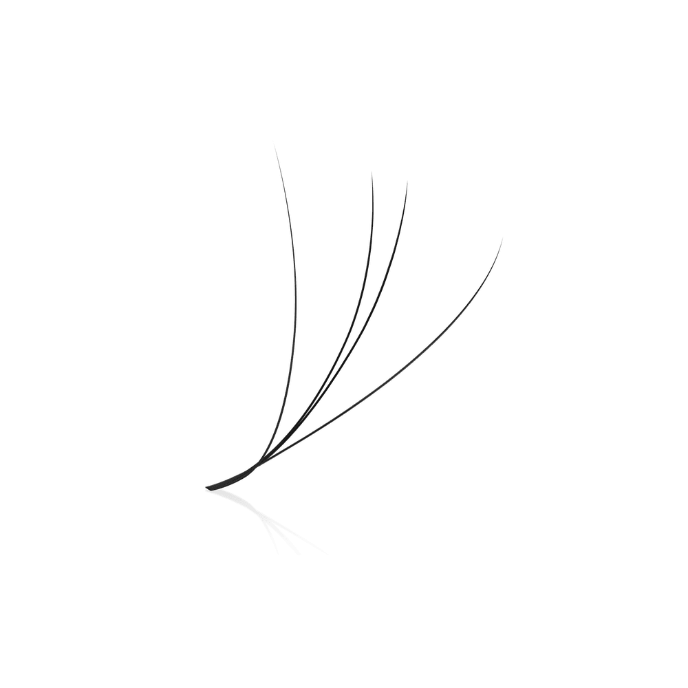 Clover lash trays from PLA Beauty Inc. — Single length (front view of single fan)