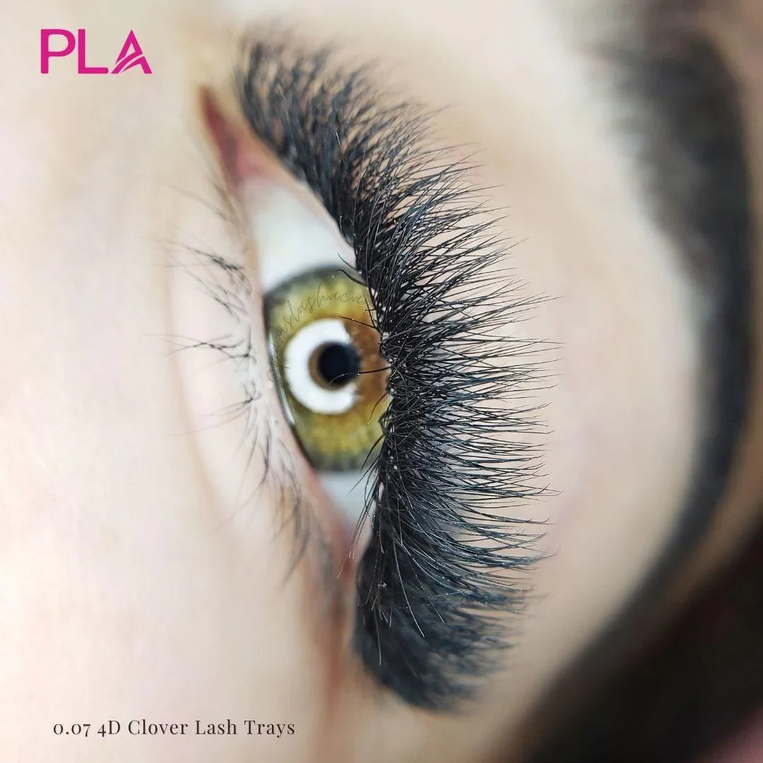 Hybrid lash extensions from PLA: lash set using 4D Clover Lash Tray