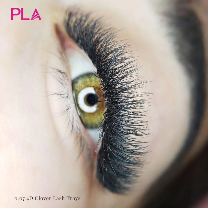Hybrid lash extensions from PLA: lash set using 4D Clover Lash Tray