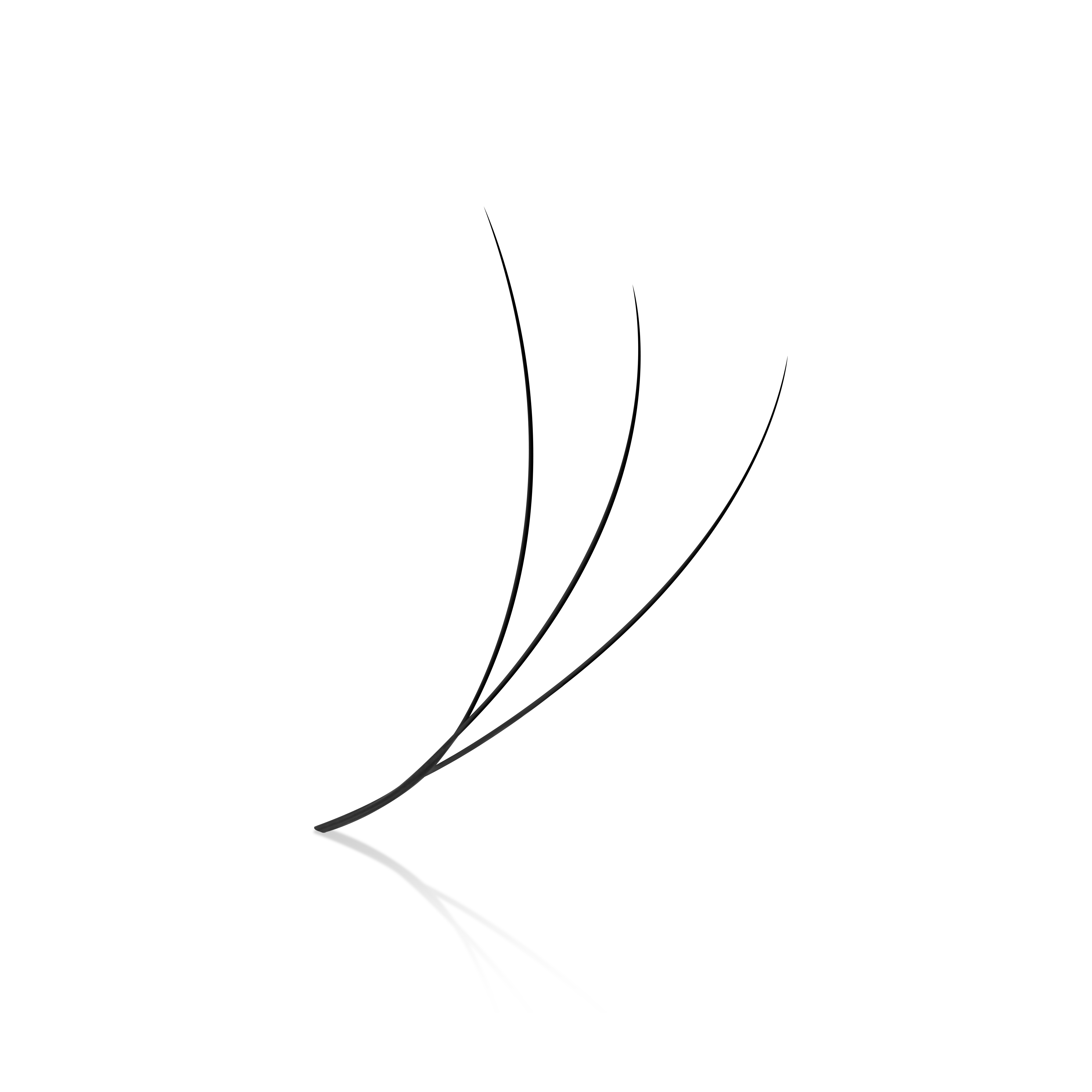 W 0.07 Lash Tray