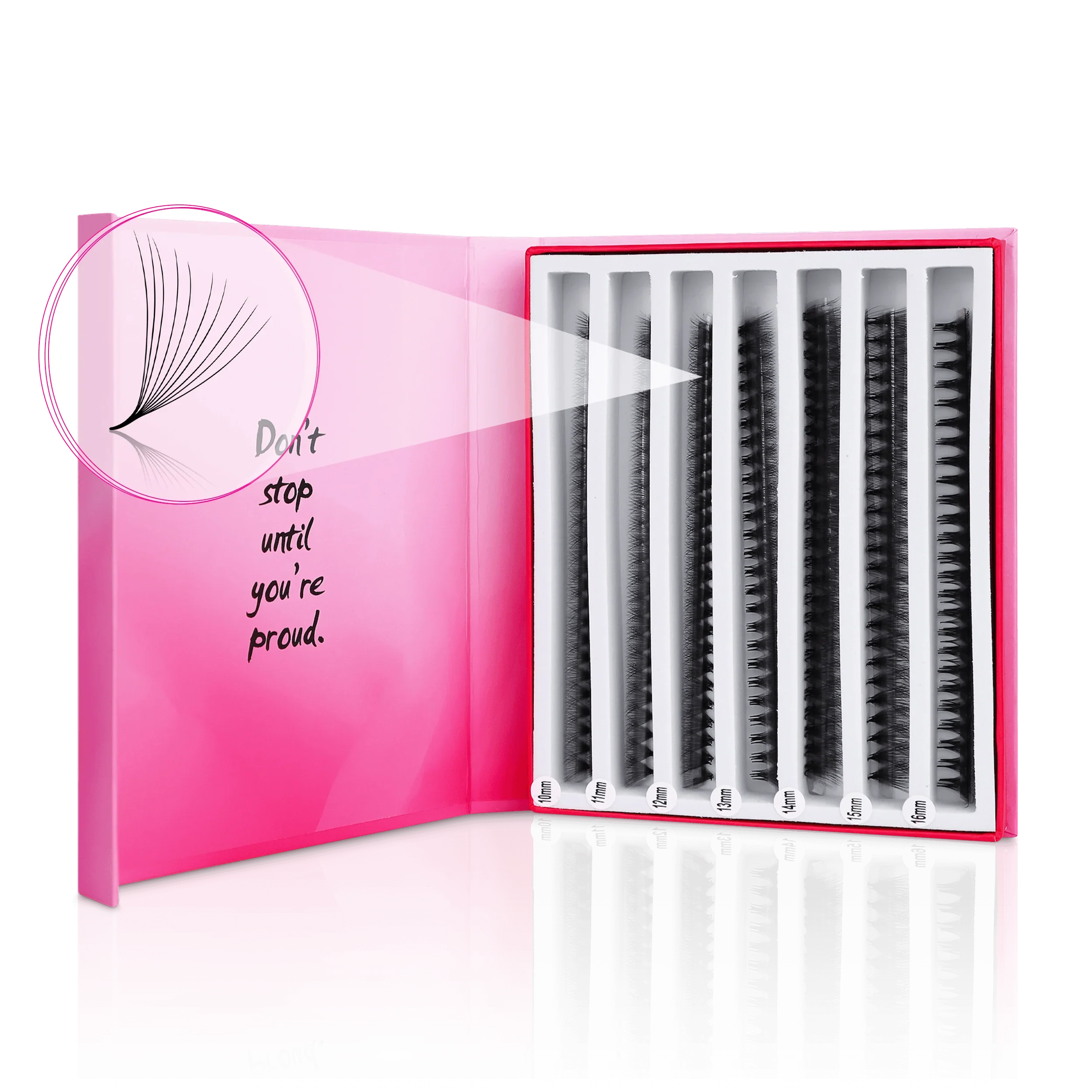 10D Mix Express Fans - Paris Lash Academy