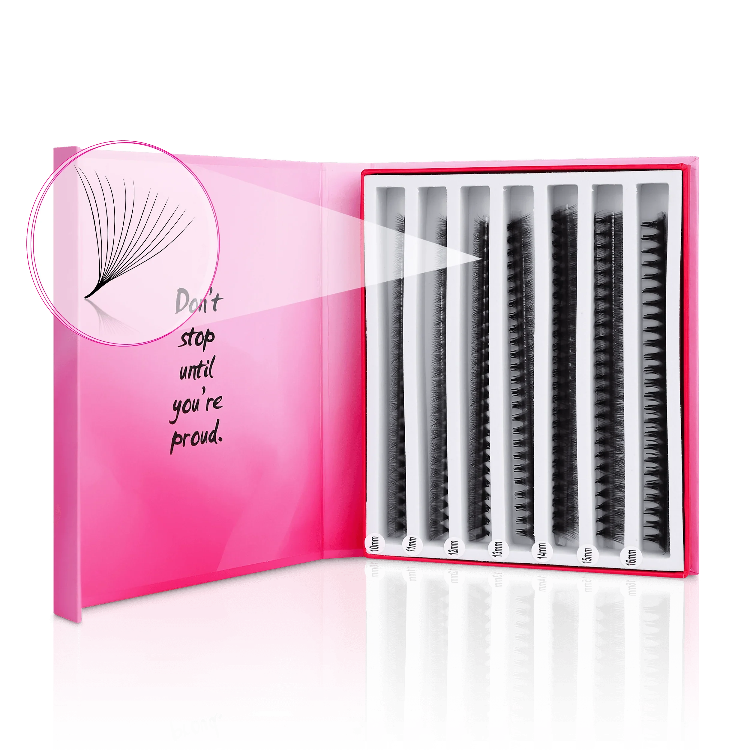 12D Mix Express Fans - Paris Lash Academy