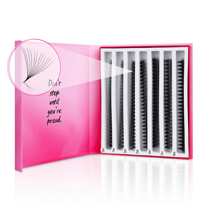 12D Mix Express Fans - Paris Lash Academy
