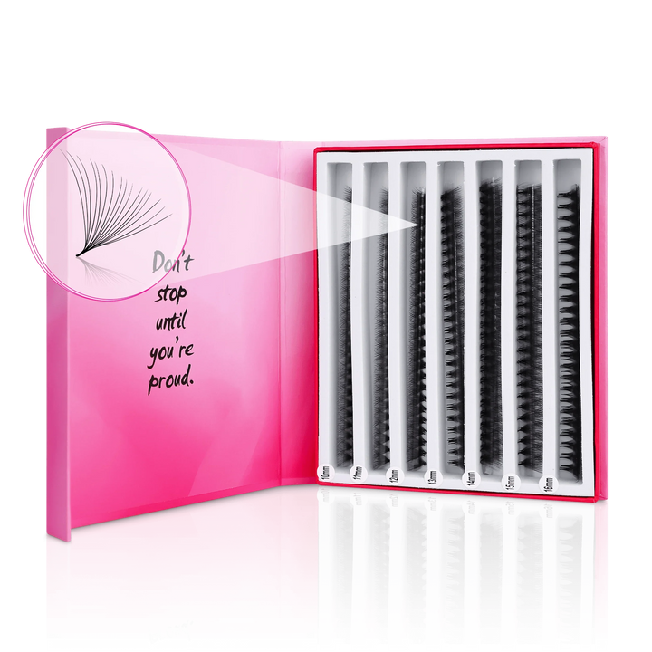 18D Mix Express Fans - Paris Lash Academy