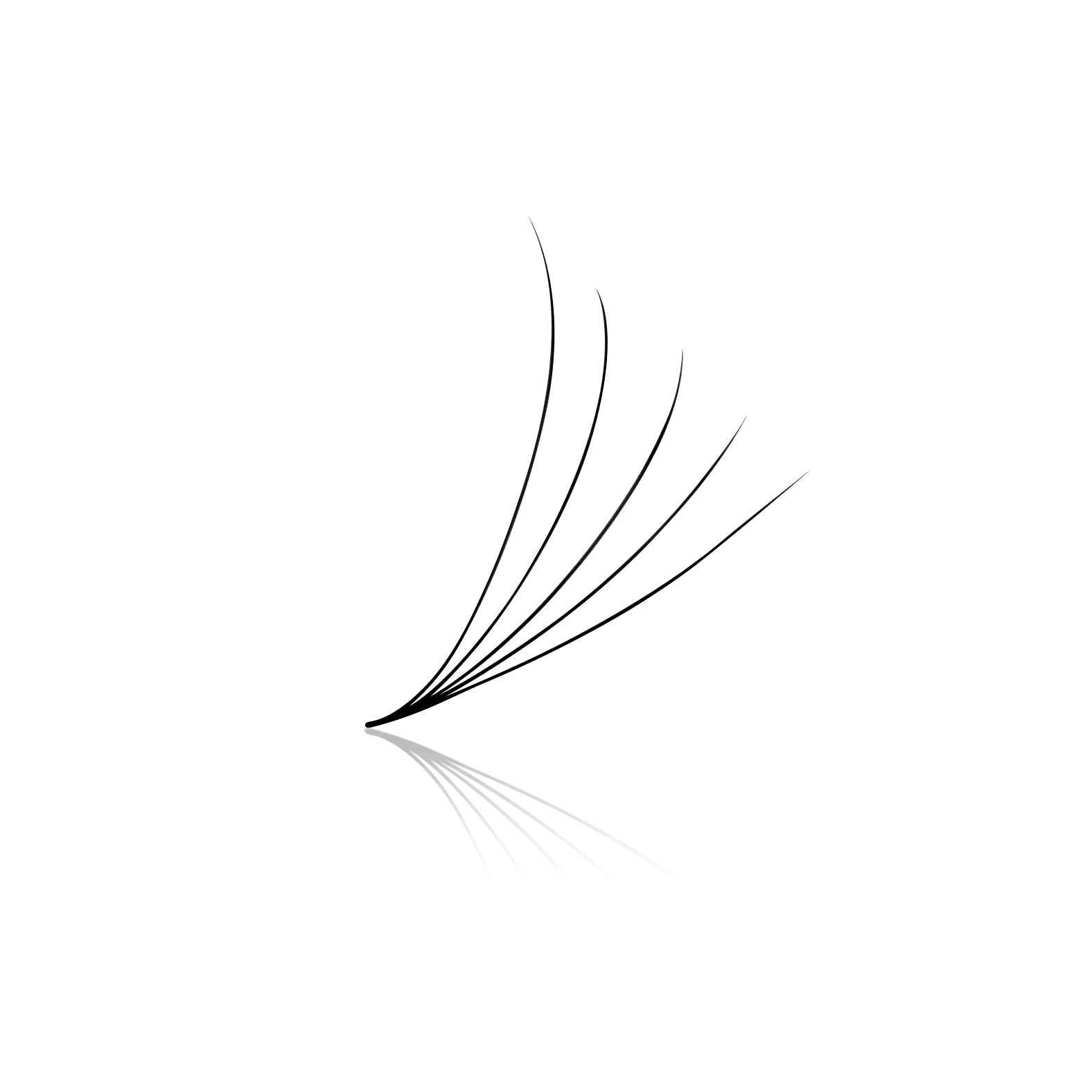 5D Mix Express Fans