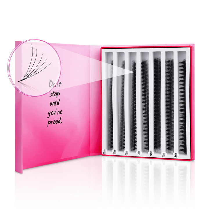 5D Mix Express Fans - Paris Lash Academy