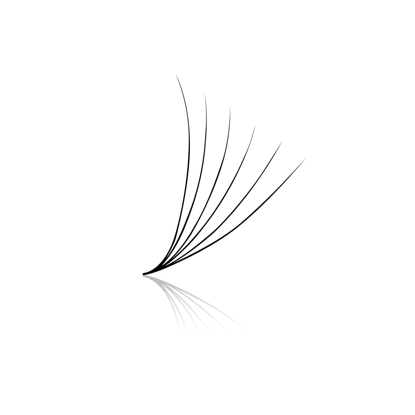 6D ProMade Loose Fans - 0.07 - 475-530 Fans - Paris Lash Academy