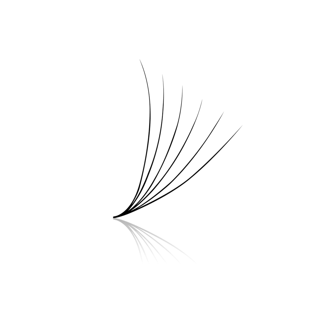 6D Express Fans Single Length (FINAL SALE) - Paris Lash Academy