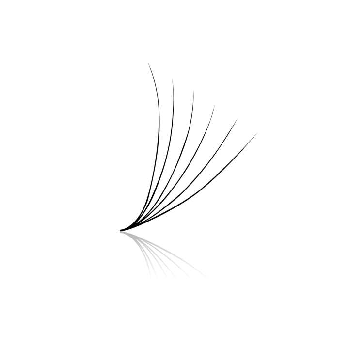 6D Express Fans Single Length (FINAL SALE) - Paris Lash Academy