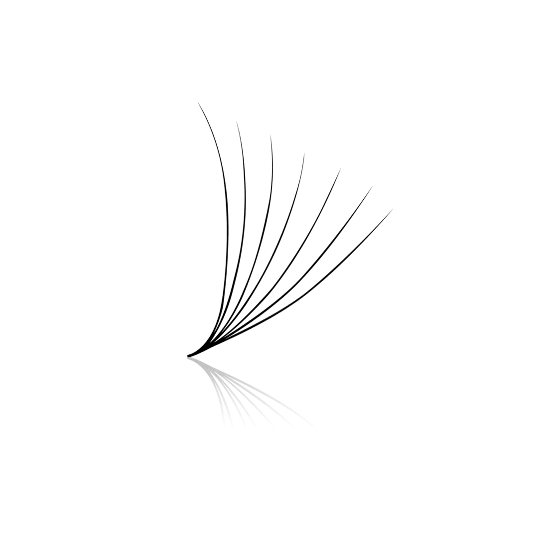 7D ProMade Loose Fans - 0.05 - 475-530 Fans - Paris Lash Academy