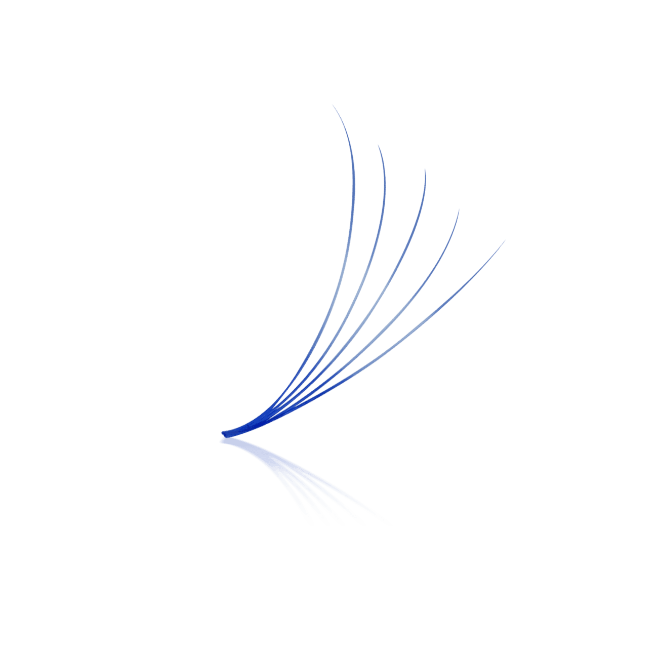 Blue 5D ProMade Loose Fans - 0.07 - 475-530 Fans - Paris Lash Academy
