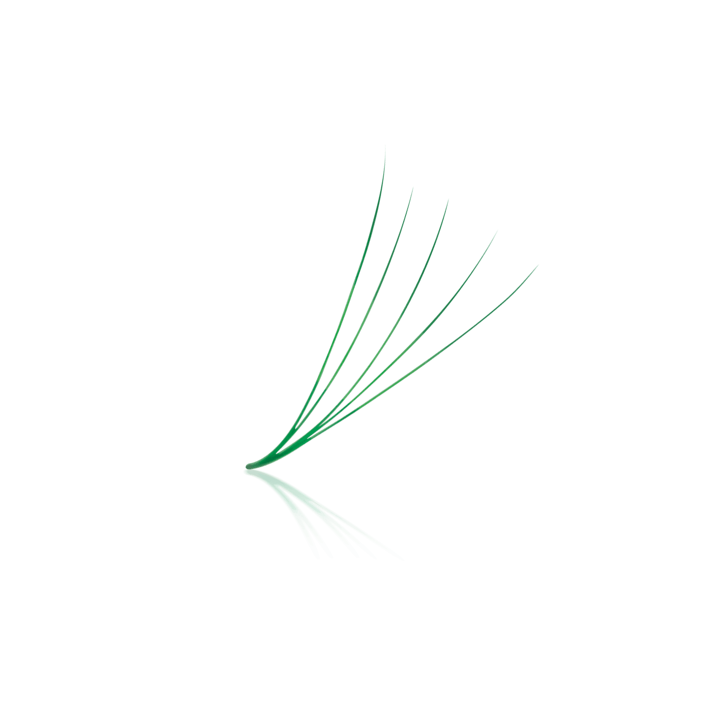 Emerald Green 5D ProMade Loose Fans - 0.07 - 475-530 Fans - Paris Lash Academy
