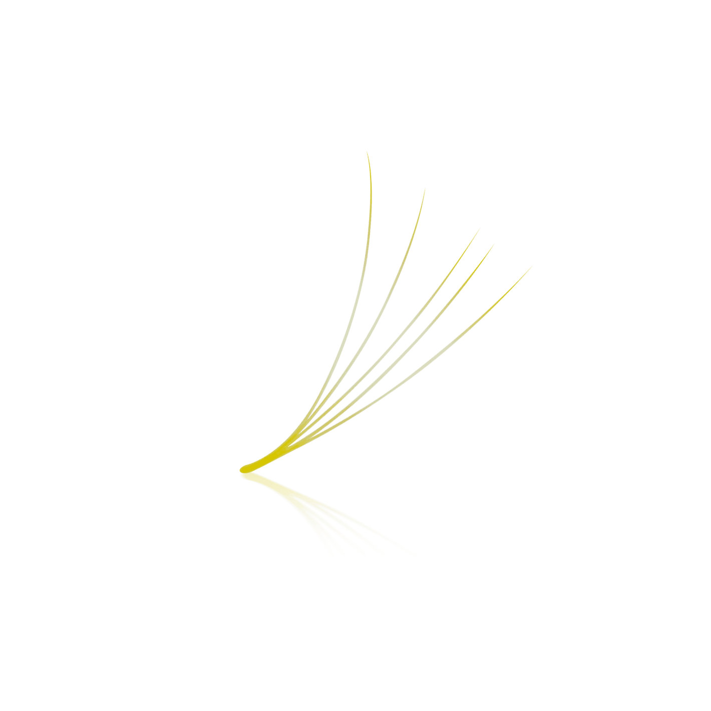 PLA Lemon Lashes — Loose Fans (individual view of the lash fan)
