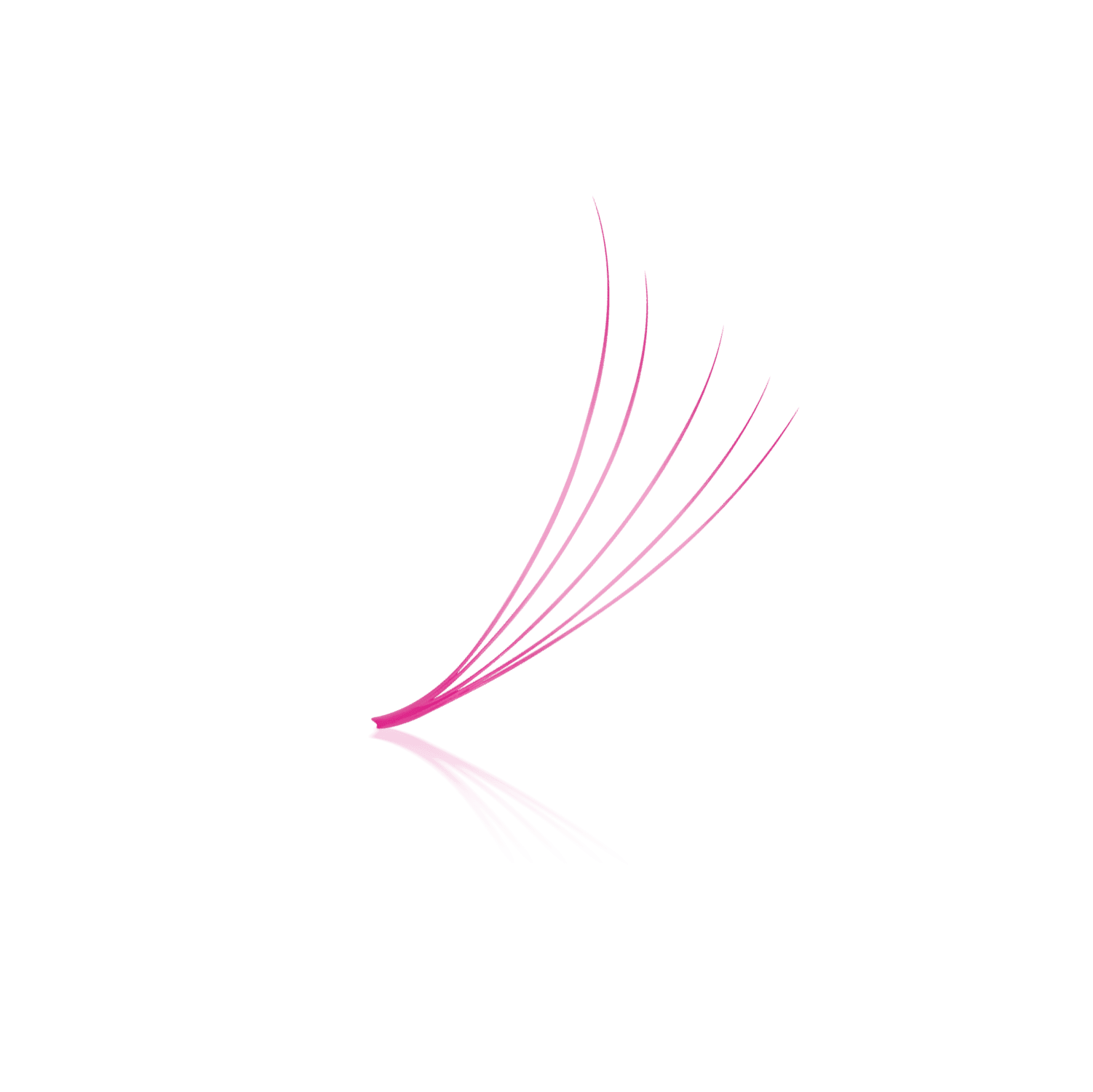 Pink 5D ProMade Loose Fans - 0.07 - 475-530 Fans - Paris Lash Academy