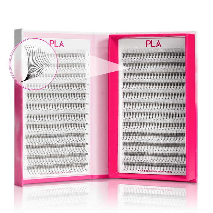 Bold lashes from PLA Inc.: 16D Fans, Single Length (front view and close up of 16D Bold ProMade Fan)