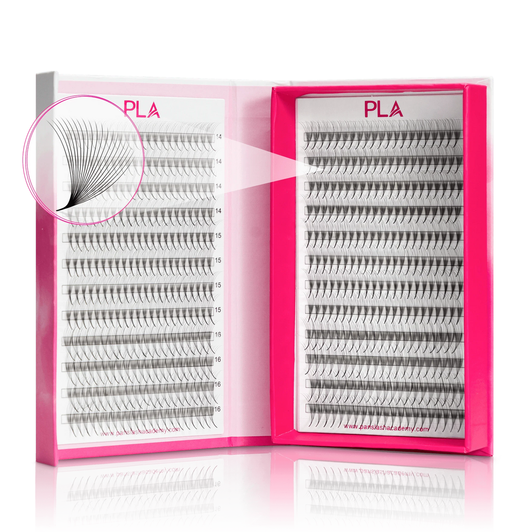 Bold lashes from PLA Inc.: 20D Fans, Single Length (front view and view of a single fan)