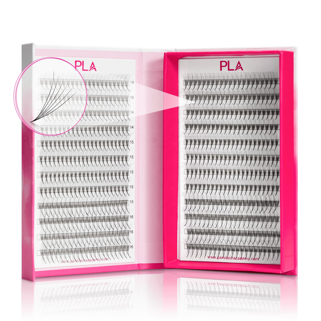 The BOLD Collection: 6D ProMade Fans - Single Length - 0.07 - Paris Lash Academy