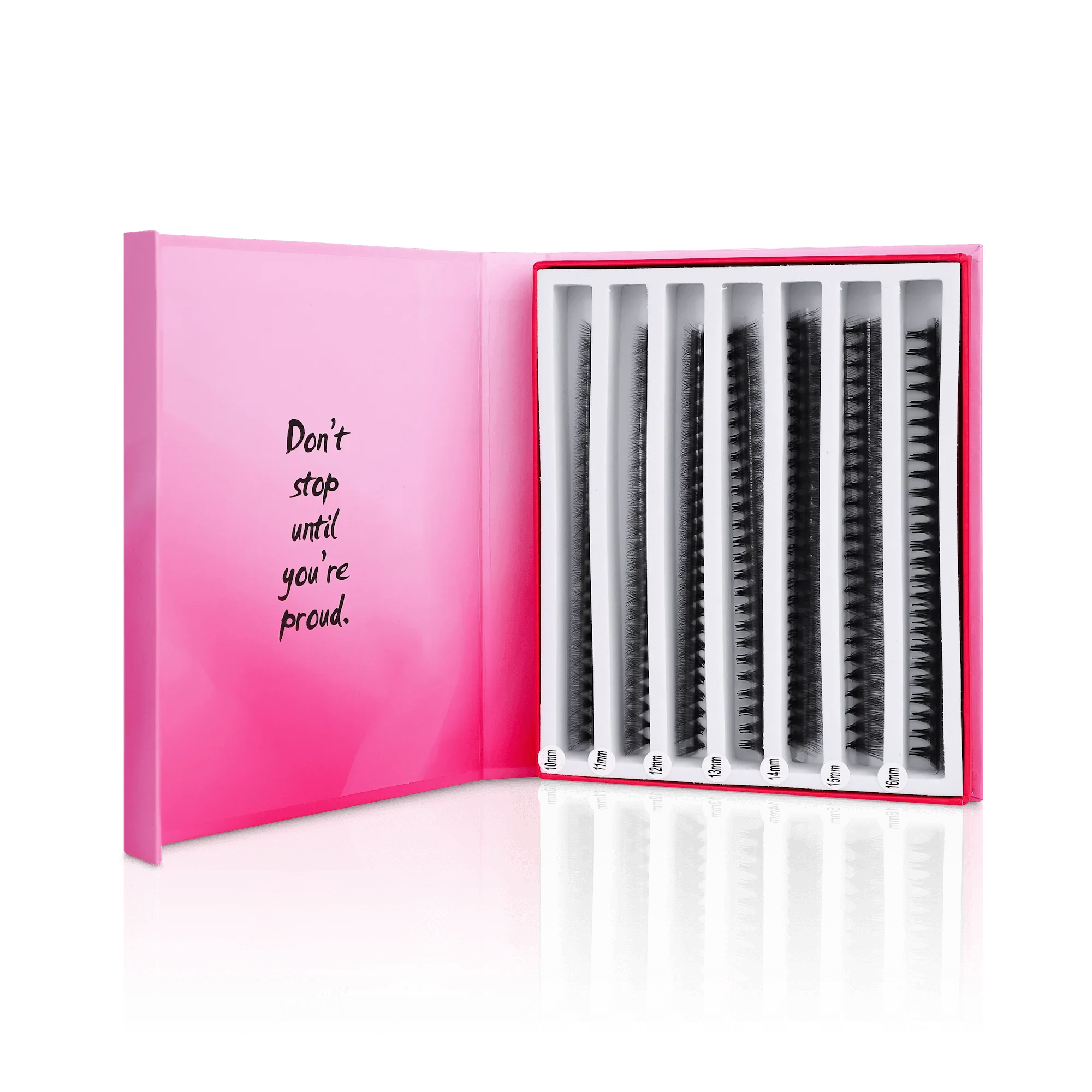 14D Mix Express Fans - Paris Lash Academy
