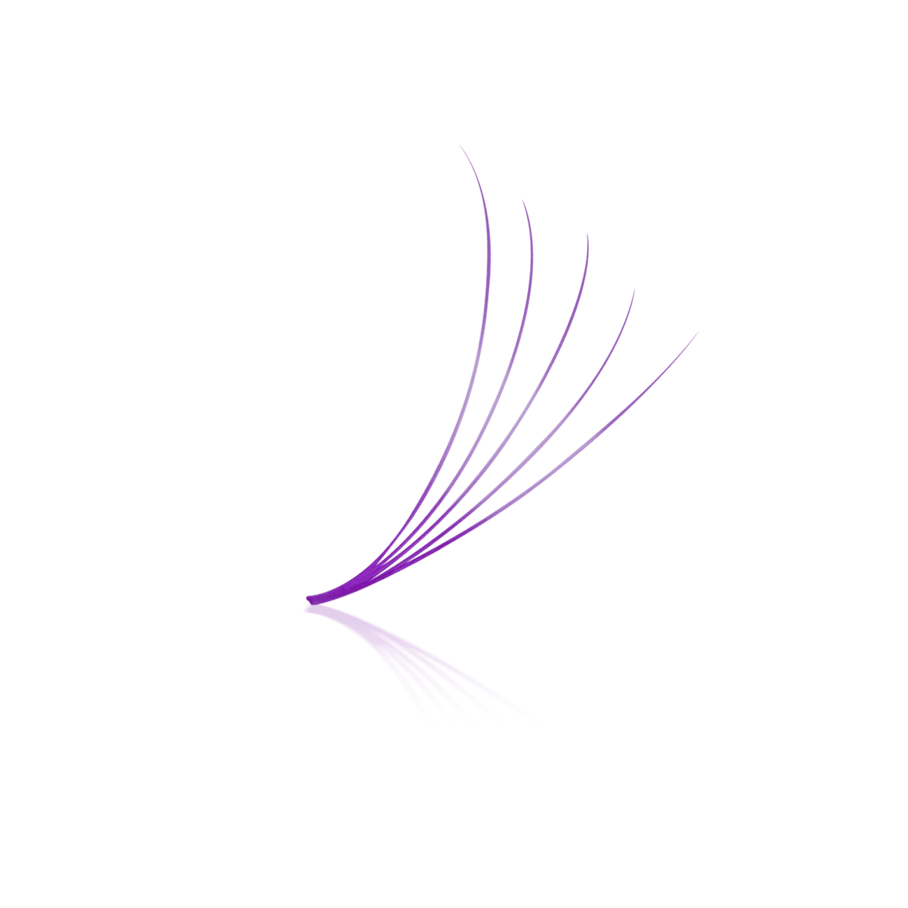 Purple 5D ProMade Loose Fans - 0.07 - 475-530 Fans - Paris Lash Academy