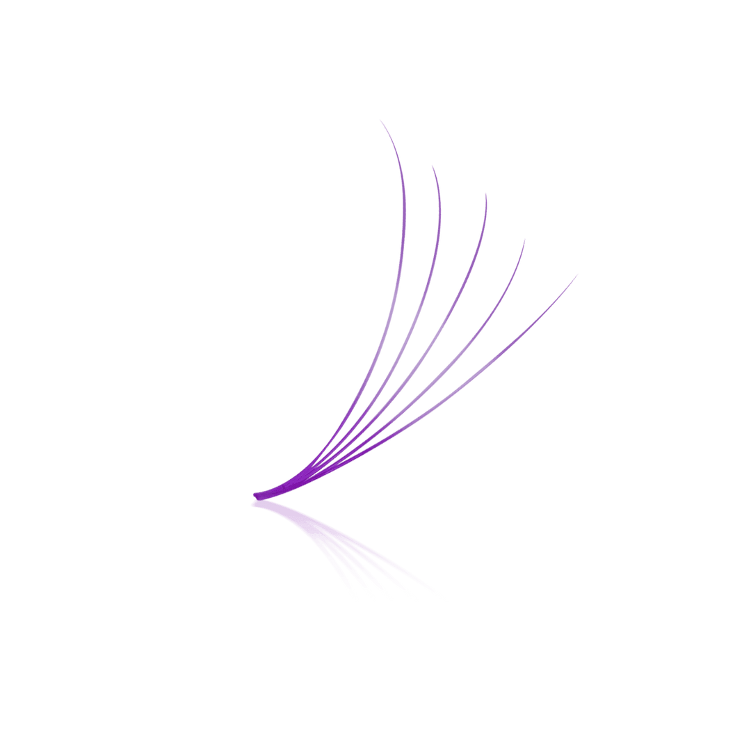 Purple 5D ProMade Loose Fans - 0.07 - 475-530 Fans - Paris Lash Academy