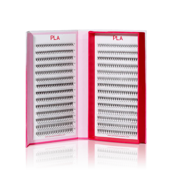 Bold lashes in LD Curls from Paris Lash Academy (front view of lash tray)